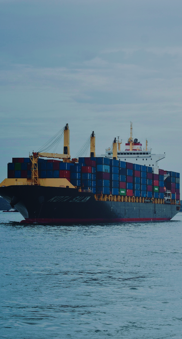 Maritieme Monitoren en Touchscreens